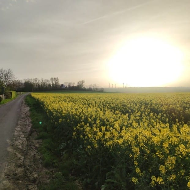 A beautiful sight near where I live